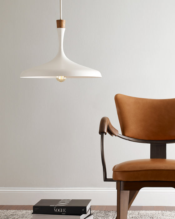 One Light Pendant from the Darwin collection in Matte White finish