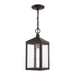 Livex Lighting - 20591-07 - One Light Outdoor Pendant - Nyack - Bronze with Antique Brass Cluser