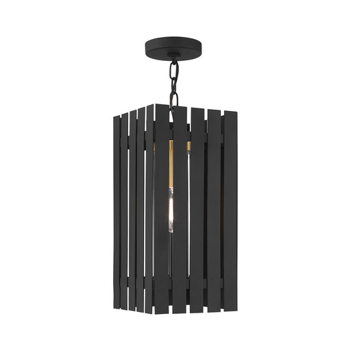 Livex Lighting - 20757-04 - One Light Outdoor Pendant - Greenwich - Black with Satin Brass Accents