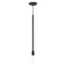 Livex Lighting - 45831-04 - One Light Pendant - Prague - Black