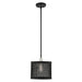 Livex Lighting - 46212-04 - One Light Pendant - Industro - Black with Brushed Nickel Accents
