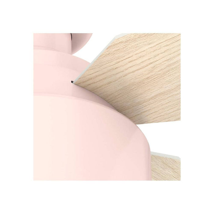 Hunter 52" Cranbrook Ceiling Fan with LED Light Kit and Handheld Remote