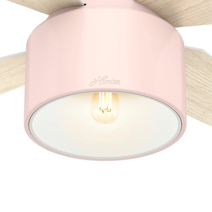 Hunter 52" Cranbrook Ceiling Fan with LED Light Kit and Handheld Remote