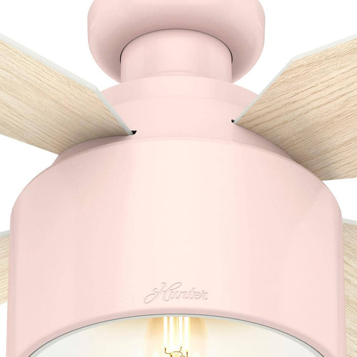 Hunter 52" Cranbrook Ceiling Fan with LED Light Kit and Handheld Remote