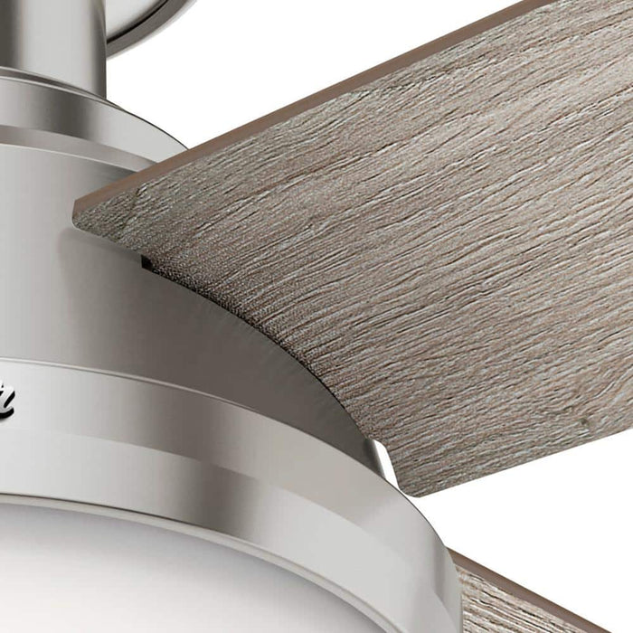 Hunter 44" Dempsey Interior Ceiling Fan with LED Light Kit and Handheld Remote