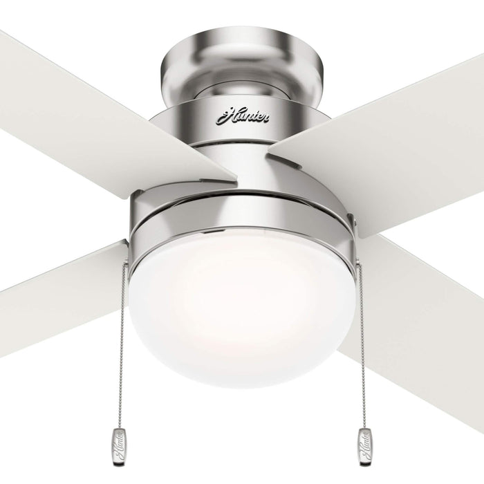 Hunter 44" Timpani Ceiling Fan with LED Light Kit and Pull Chains