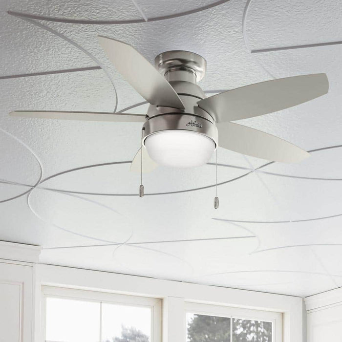 Hunter 44" Lilliana Ceiling Fan with LED Light Kit and Pull Chains