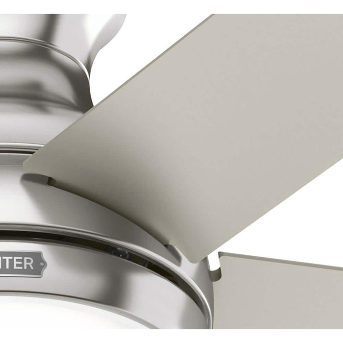 Hunter 44" Aren Ceiling Fan with LED Light Kit and Pull Chains