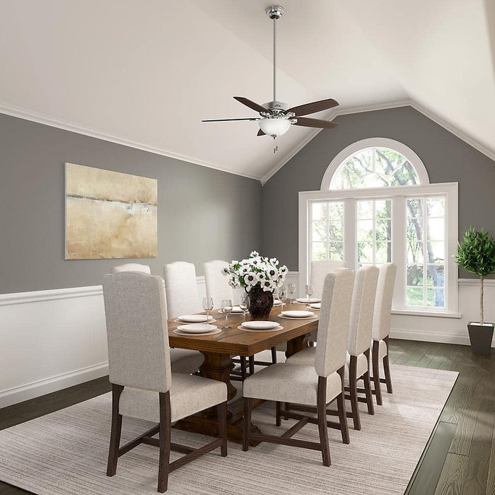 Hunter 52" Builder Ceiling Fan with LED Light Kit and Pull Chains