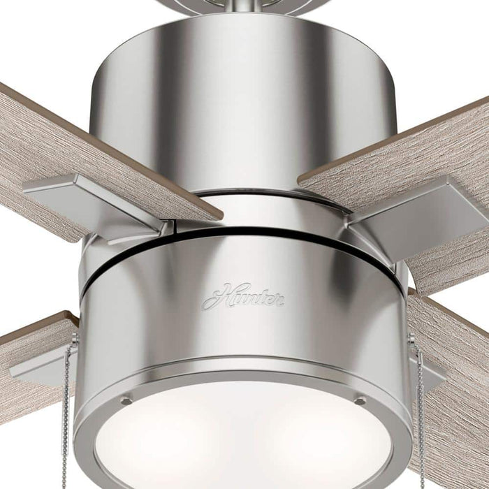 Hunter 52" Beck Ceiling Fan with LED Light Kit and Pull Chains