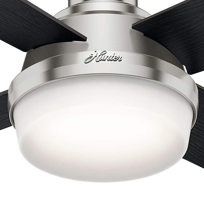Hunter 44" Dempsey Interior Ceiling Fan with LED Light Kit and Handheld Remote