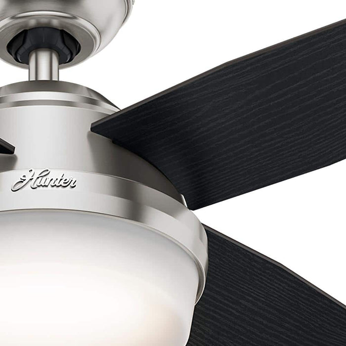Hunter 44" Dempsey Ceiling Fan with LED Light Kit and Handheld Remote