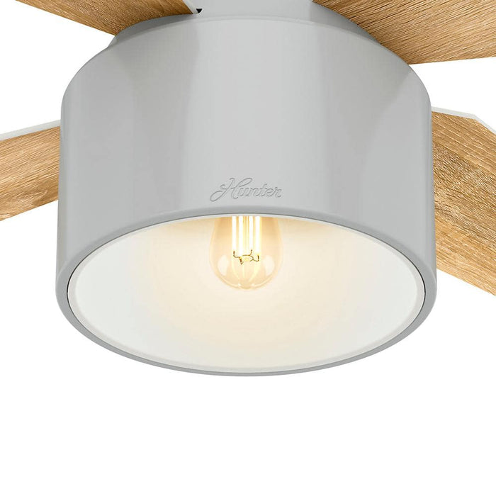 Hunter 52" Cranbrook Ceiling Fan with LED Light Kit and Handheld Remote