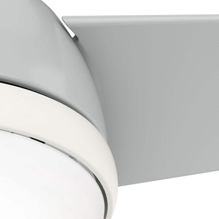 Hunter 36" Valda Ceiling Fan with LED Light Kit and Handheld Remote