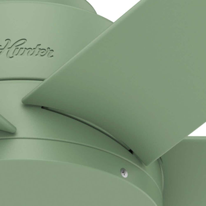 Hunter 44" Kennicott Ceiling Fan with Wall Control