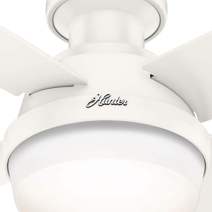 Hunter 44" Dempsey Outdoor Ceiling Fan with LED Light Kit and Handheld Remote