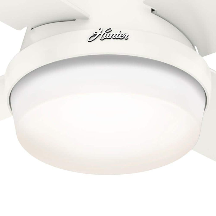 Hunter 44" Dempsey Outdoor Ceiling Fan with LED Light Kit and Handheld Remote