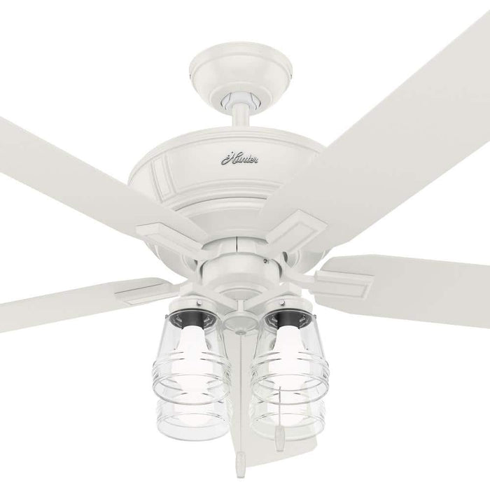 Hunter 60" Grantham Ceiling Fan with LED Light Kit and Pull Chains
