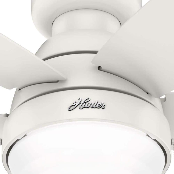 Hunter 44" Lilliana Ceiling Fan with LED Light Kit and Pull Chains