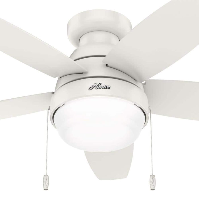 Hunter 44" Lilliana Ceiling Fan with LED Light Kit and Pull Chains
