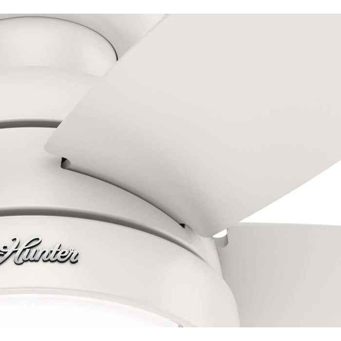 Hunter 44" Lilliana Ceiling Fan with LED Light Kit and Pull Chains