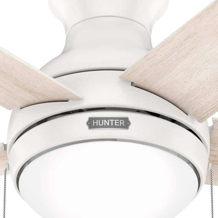 Hunter 44" Aren Ceiling Fan with LED Light Kit and Pull Chains