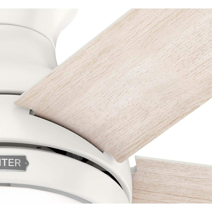 Hunter 44" Aren Ceiling Fan with LED Light Kit and Pull Chains