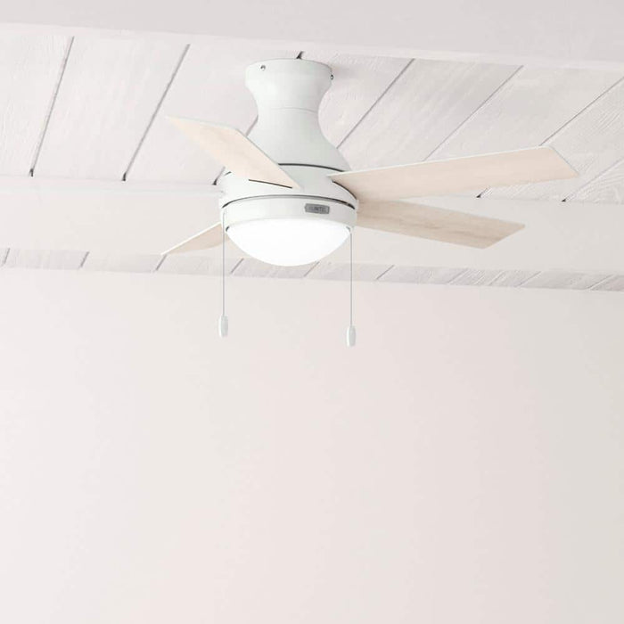 Hunter 44" Aren Ceiling Fan with LED Light Kit and Pull Chains