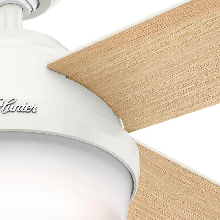 Hunter 52" Dempsey Indoor Ceiling Fan with LED Light Kit and Handheld Remote