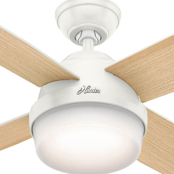Hunter 52" Dempsey Indoor Ceiling Fan with LED Light Kit and Handheld Remote