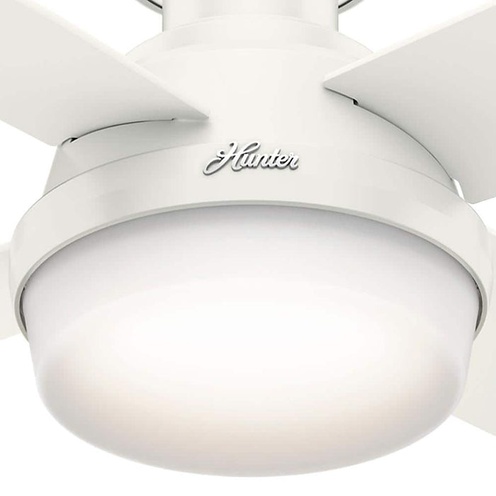 Hunter 44" Dempsey Interior Ceiling Fan with LED Light Kit and Handheld Remote