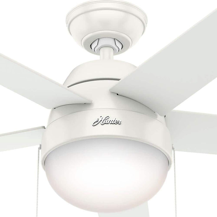 Hunter 46" Anslee Ceiling Fan with LED Light Kit and Pull Chains