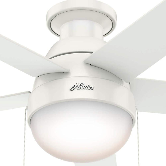 Hunter 46" Anslee Low Profile Ceiling Fan with LED Light Kit and Pull Chains