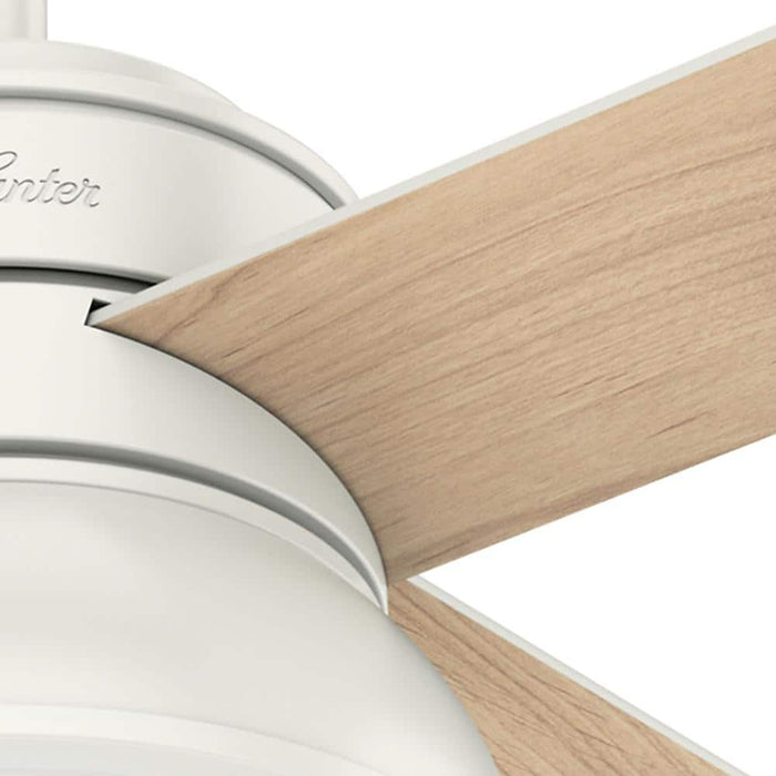 Hunter 36" Loki Ceiling Fan with LED Light Kit and Pull Chains