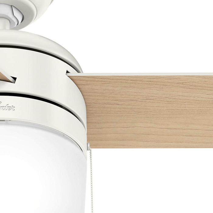 Hunter 42" Acumen Ceiling Fan with LED Light Kit and Pull Chains