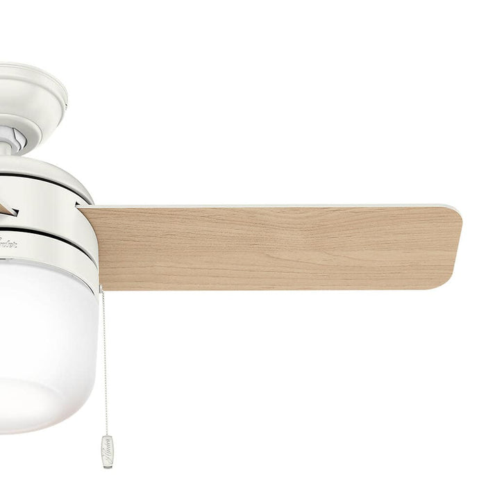 Hunter 42" Acumen Ceiling Fan with LED Light Kit and Pull Chains