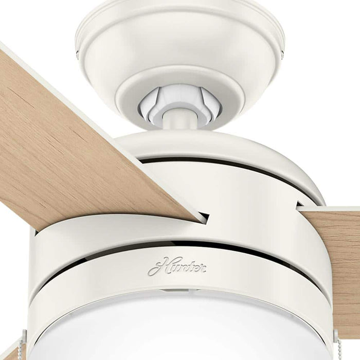 Hunter 42" Acumen Ceiling Fan with LED Light Kit and Pull Chains