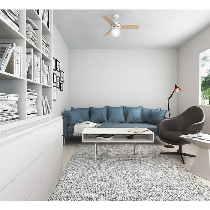 Hunter 42" Acumen Ceiling Fan with LED Light Kit and Pull Chains