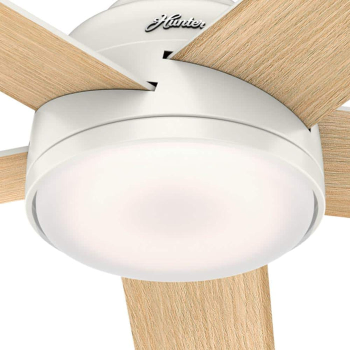 Hunter 60" Romulus Ceiling Fan with LED Light Kit and Handheld Remote
