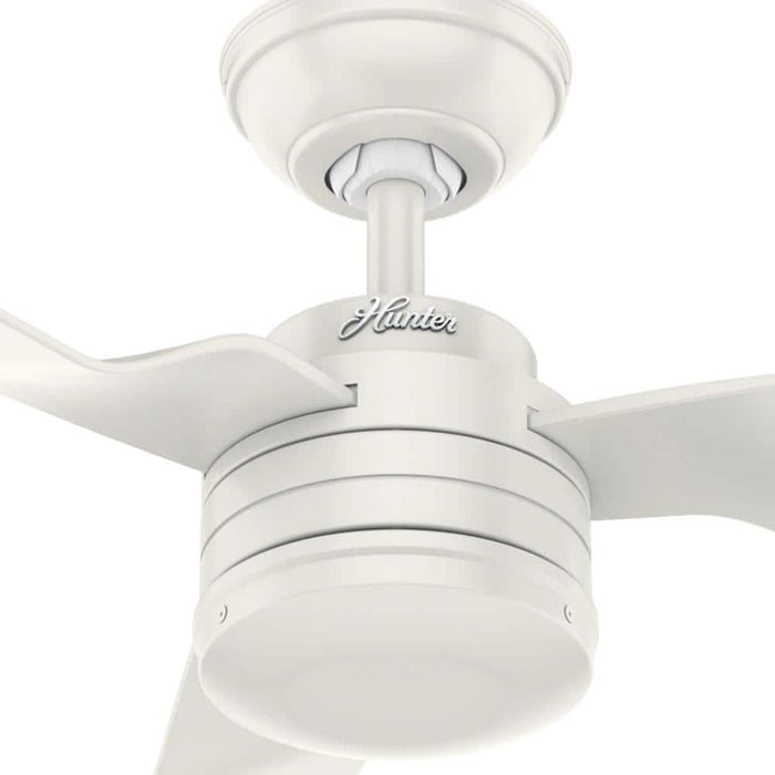 Hunter 52" Cabo Frio Ceiling Fan with Wall Control