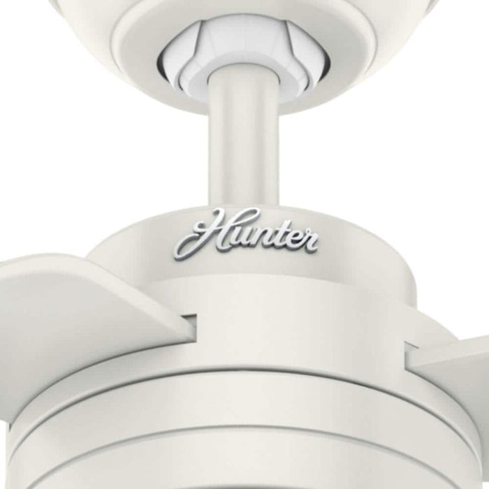 Hunter 52" Cabo Frio Ceiling Fan with Wall Control