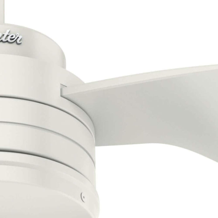 Hunter 52" Cabo Frio Ceiling Fan with Wall Control