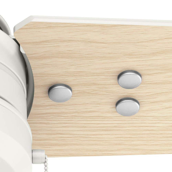 Hunter 44" Cassius Ceiling Fan with Pull Chains