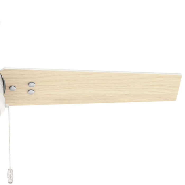 Hunter 44" Cassius Ceiling Fan with Pull Chains