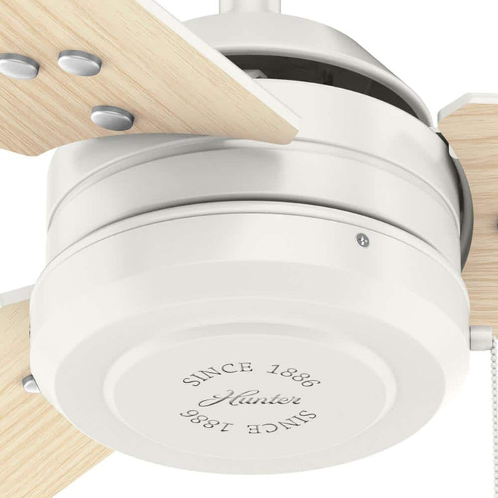 Hunter 44" Cassius Ceiling Fan with Pull Chains