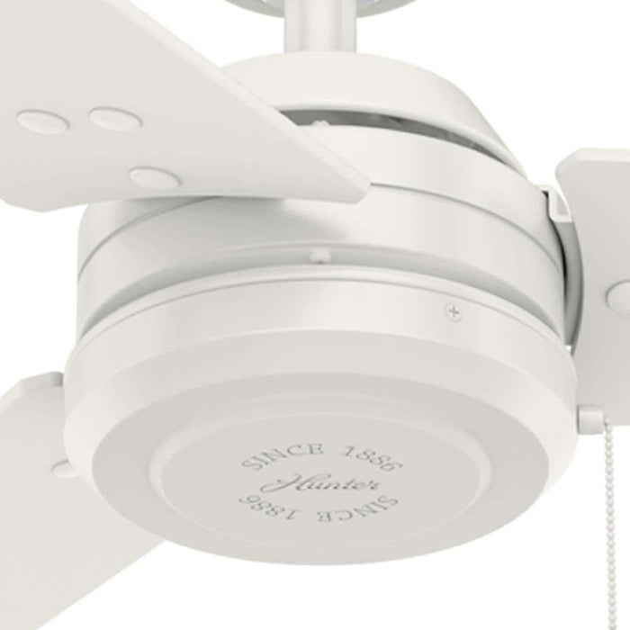 Hunter 52" Cassius Ceiling Fan with Pull Chains