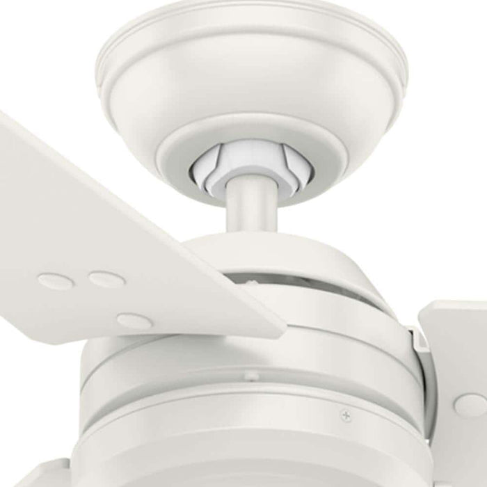 Hunter 52" Cassius Ceiling Fan with Pull Chains