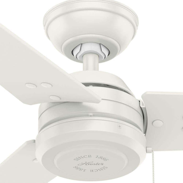 Hunter 52" Cassius Ceiling Fan with Pull Chains