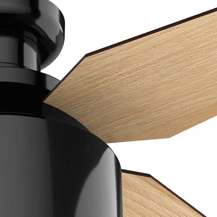 Hunter 52" Cranbrook Ceiling Fan with LED Light Kit and Handheld Remote