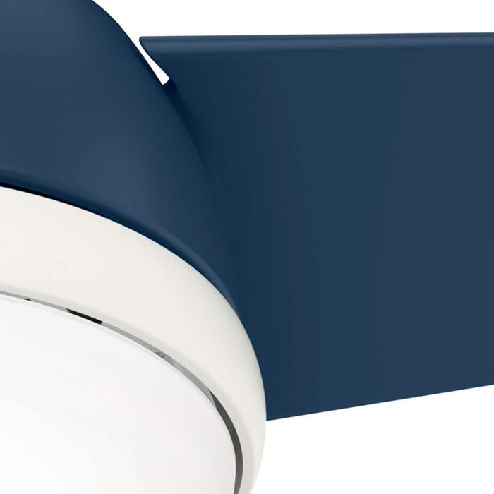 Hunter 36" Valda Ceiling Fan with LED Light Kit and Handheld Remote